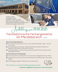 Ausbildungsplatz TFA Pferde Tierarztpraxis Ottersberg